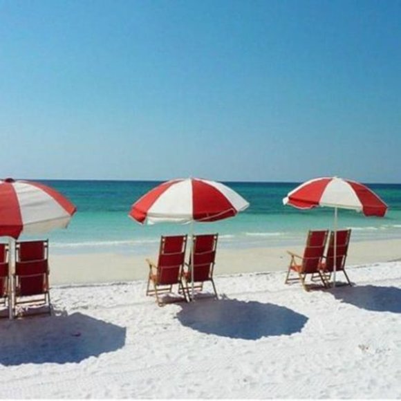 Meet your Posher! - Picture 1 of 1